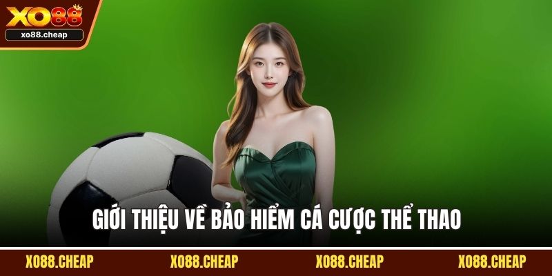 Giới thiệu về bảo hiểm cá cược thể thao