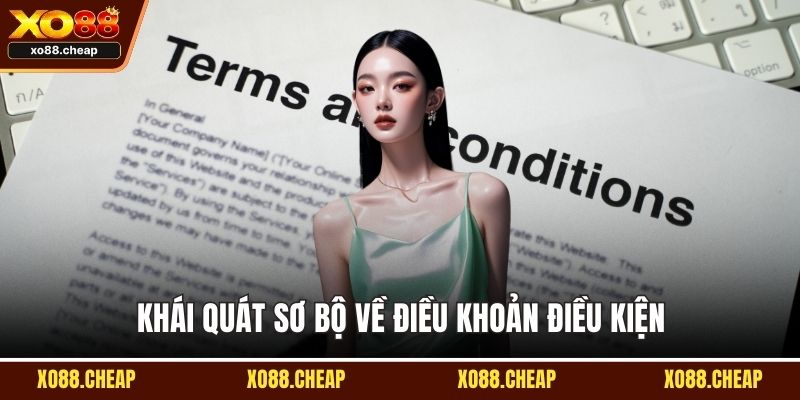 Khái quát sơ bộ về điều khoản điều kiện